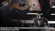 Megaleite 2025: principais demandas do setor leiteiro são temas de diversas palestras