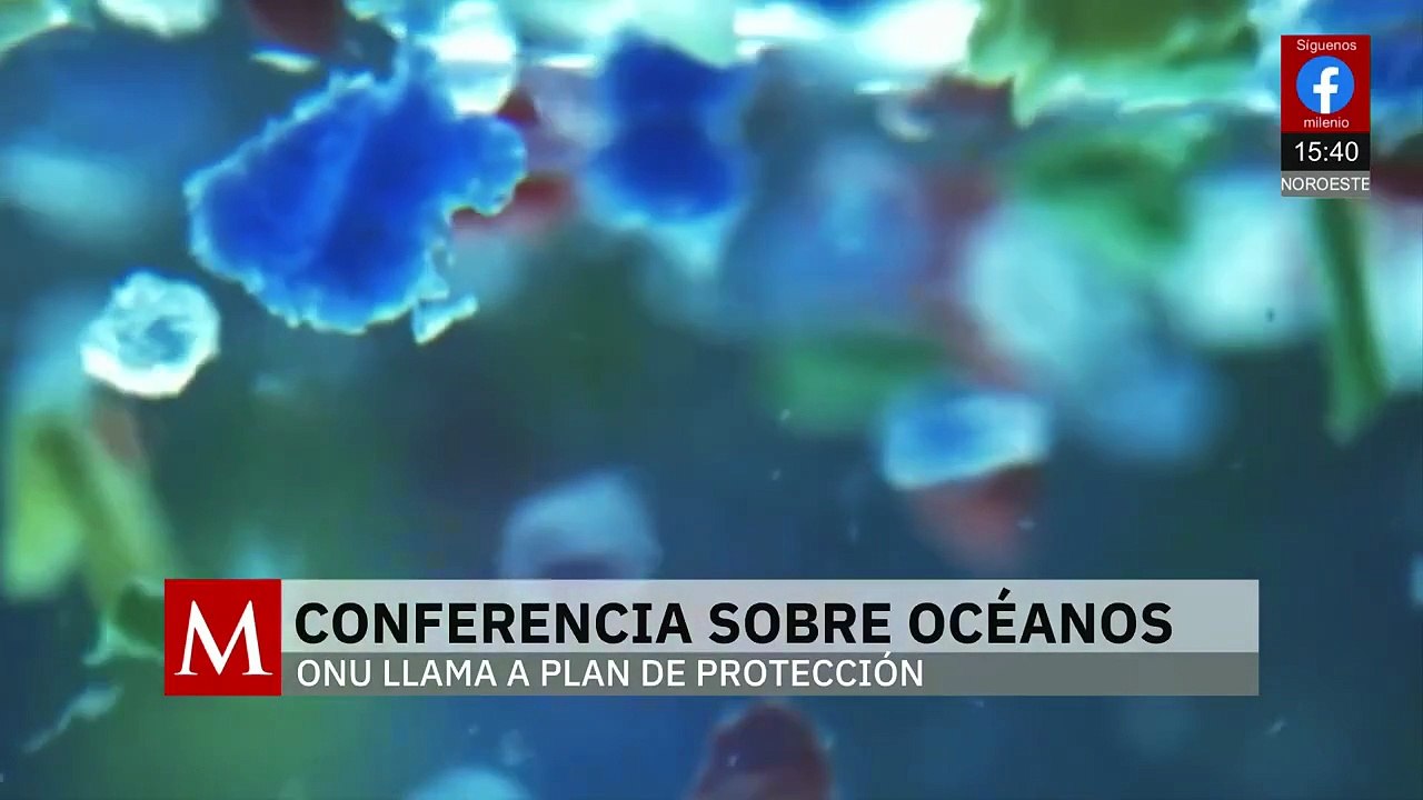 México se suma al llamado para un tratado sobre la contaminación de plásticos | Milenio Hábitat