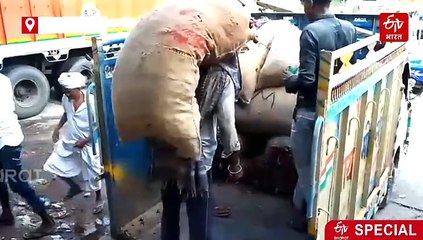 अलवर के किसानों की महाराष्ट्र व गुजरात पर निर्भरता खत्म, खुद तैयार कर रहे प्याज के बीज, कमाई भी बढ़ी