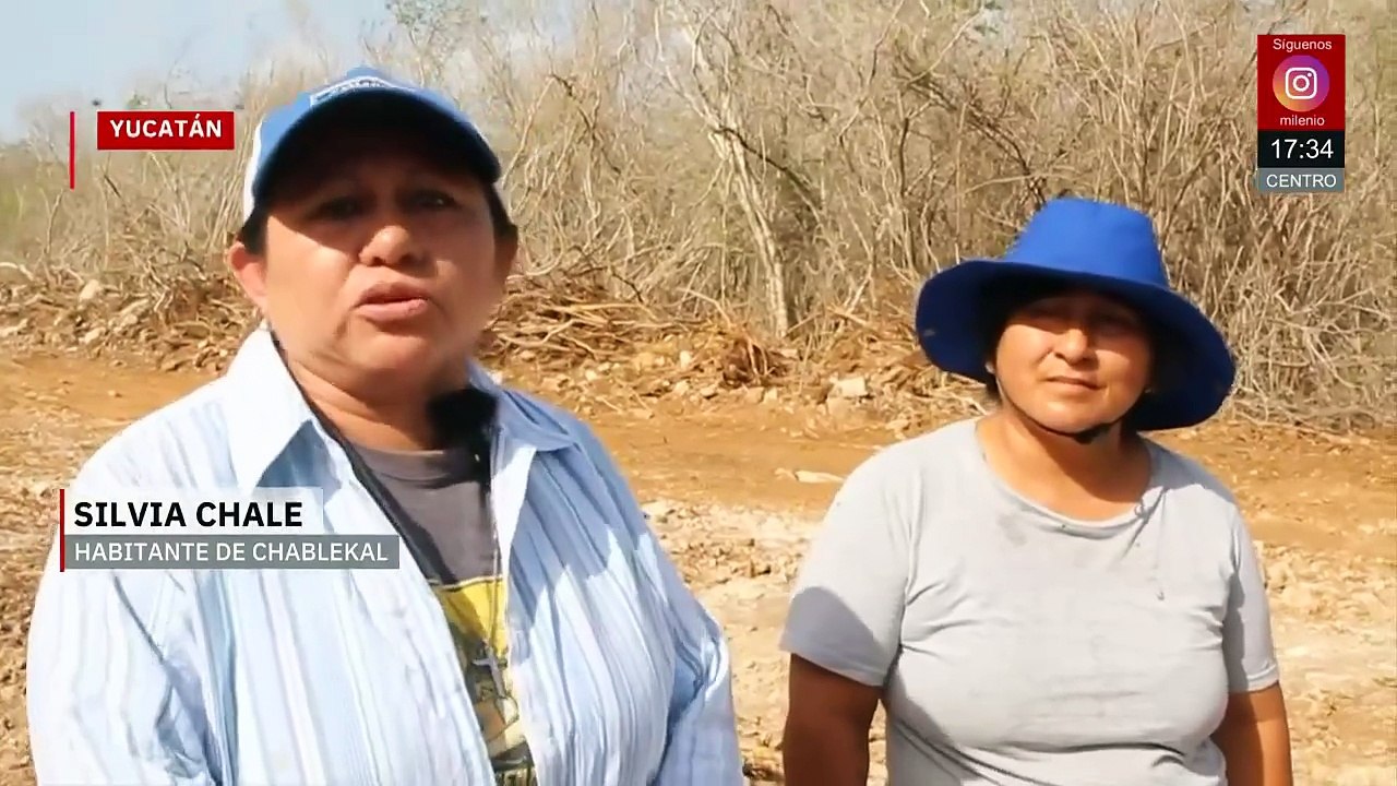 Comunidad Maya en Yucatán denuncia tala ilegal en Misnébalam