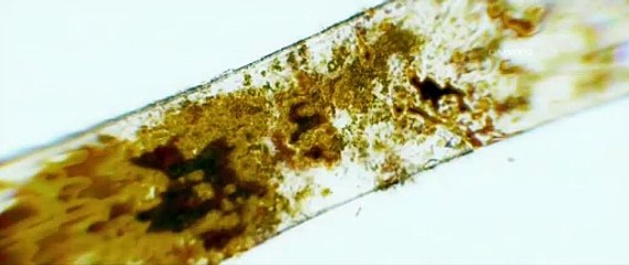 Mathu Vadalara 2019 Hindi Dubbed Movie