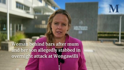 Mother, son allegedly stabbed overnight in Wongawilli