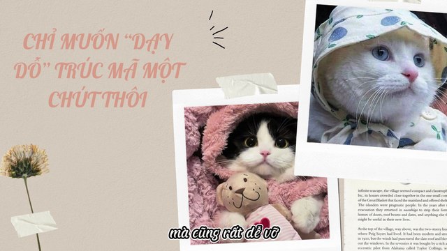 Truyện Audio Hay || Chỉ Muốn “Dạy Dỗ” Trúc Mã Một Chút Thôi || Thiên Thần Dắt Truyện