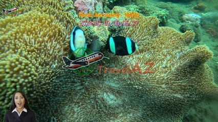 Review USS Liberty Shipwreck Scuba Dive at Tulamben