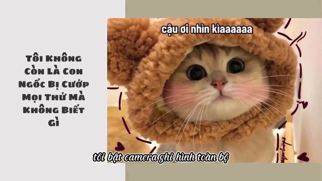 Truyện Audio__ Tôi Không Còn Là Con Ngốc Bị Cướp Mọi Thứ Mà Không Biết Gì __ Thiên Thần Dắt Truyện (1)