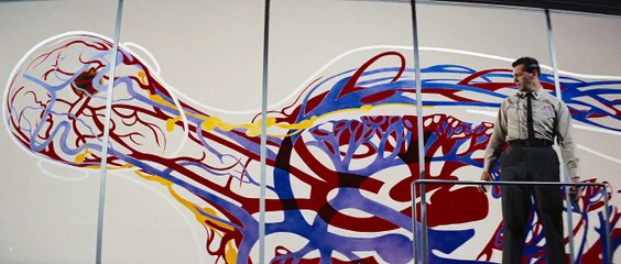 Fantastic Voyage: Journey Inside the Human Body