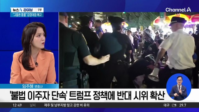 ‘불법 이주자 단속’ 트럼프 정책에 반대 시위 확산