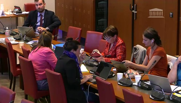 Commission des lois : Projet de loi de programmation pour la refondation de Mayotte (suite) - Mercredi 11 juin 2025