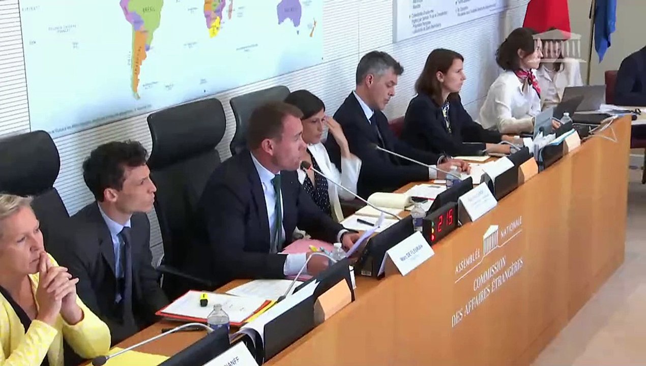 Commission des affaires étrangères : Ratification du traité de coopération en matière de défense entre la République française et la République de Djibouti  - Mercredi 11 juin 2025