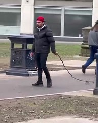 Wait for the end funny comedy