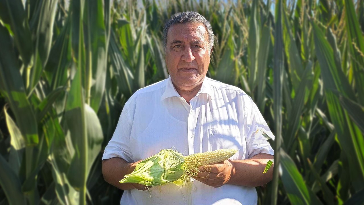 CHP'li Gürer'den mısır alım fiyatına tepki: Toprak Mahsulleri Ofisi’nin alım fiyatı 11 bin 300 lira yerine 15 bin liraya çıkarılmalıdır