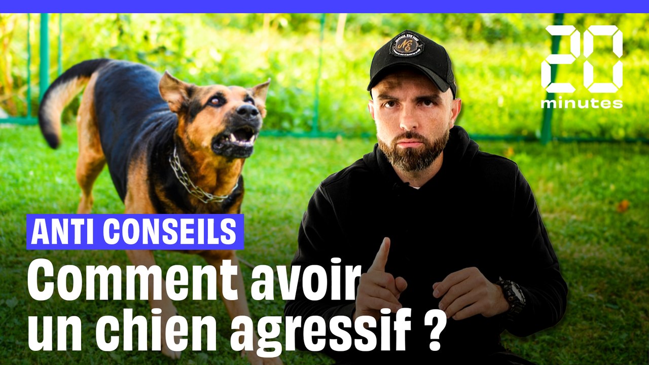 Comment être sur d'avoir un chien agressif ? Les anti-conseils d'Esprit Dog