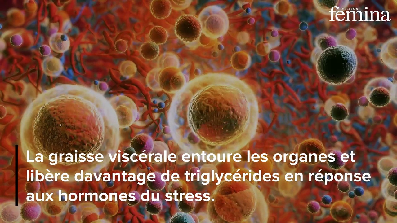 Ce type de graisse méconnu pourrait faire vieillir votre cœur plus vite, alerte une étude