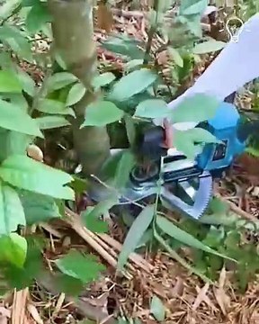 These useful tools will make your outdoor tasks a breeze!