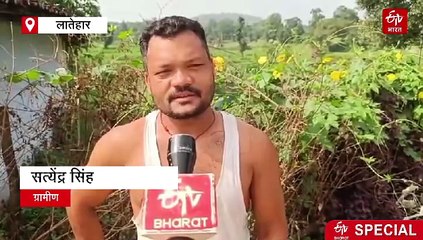 झारखंड का क्राइम फ्री विलेज है 'ललगड़ी', नहीं होती हैं आपराधिक घटनाएं, चीफ जस्टिस कर चुके हैं सम्मानित