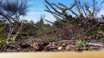 🛩️Durante Il Sorvolo Su Rego De Cabalelle Scoperta Una Miniera ⛏️ Antica! (24° Ep.)