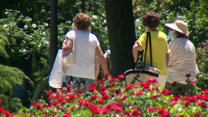 El gasto en pensiones sube un 6,2% en agosto, hasta la cifra récord de 13.621 millones de euros