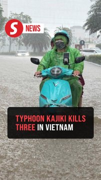 Typhoon Kajiki brings widespread damage in north central Vietnam