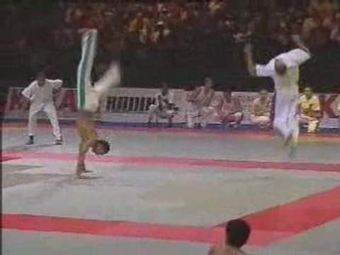 Martial Arts - Capoeira (Bercy Festival 2001)