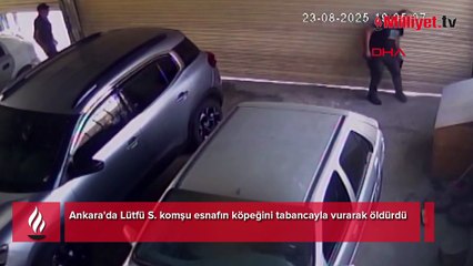 Esnafın köpeğini tabancayla öldürdü! O anlar saniye saniye kamerada