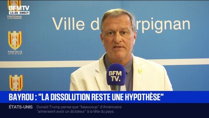 Budget: "C'est de la politique par la peur et les Français n'en veulent plus", assure Louis Aliot (RN)