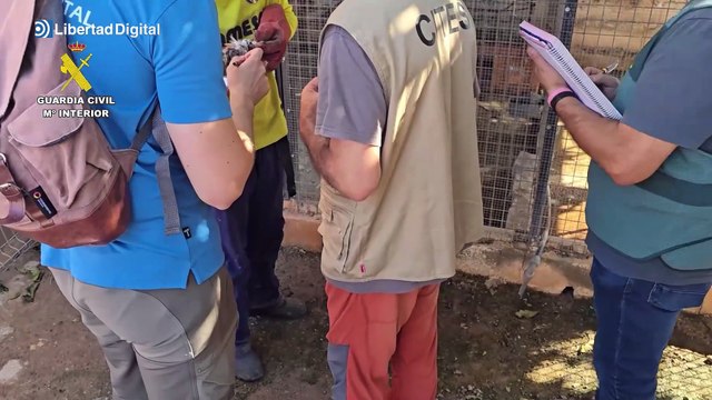 Recuperan dos guacamayos robados en un zoo clandestino en Nules