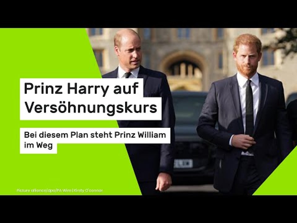 Prinz Harry auf Versöhnungskurs: Bei diesem Plan steht Prinz William im Weg