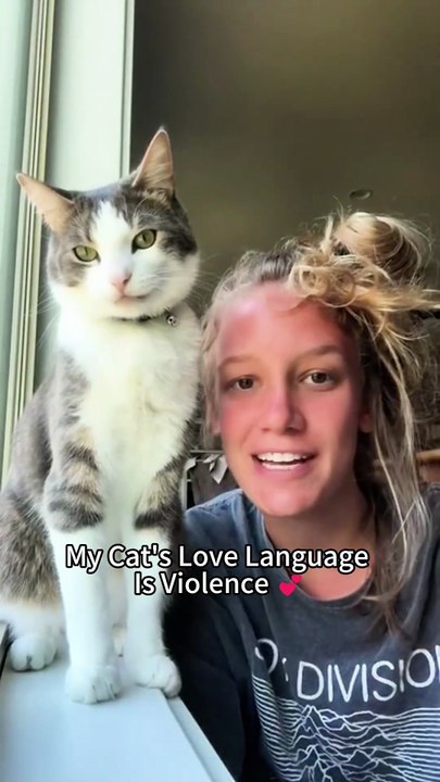 Cat Ambush！
