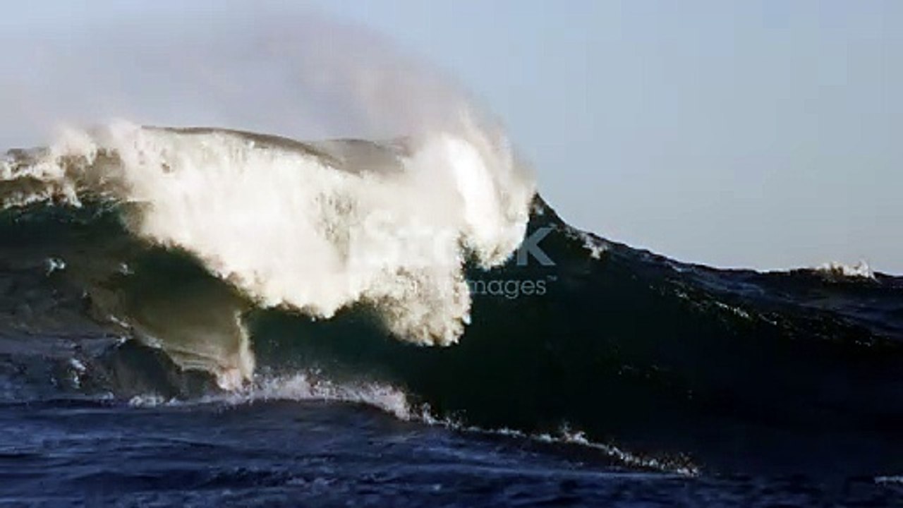 Prestige Raintree Park is an enormous housing township project on Whitefield Main Road in East Bangalore