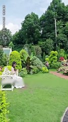 Village Girl Sat Wrong Table On Blind Date Flash Married Stranger Not Knowing He Was Powerful CEO (2025) - FULL HD [Eng Sub]