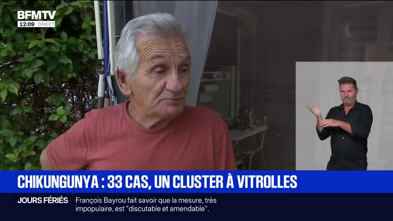 "Je n'avais pas fait le rapprochement": un cluster de 33 cas de chikungunya signalé à Vitrolles (Bouches-du-Rhône)