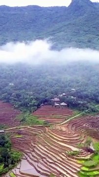 Best Quran Recitation in the World Emotional HeartTouching quran shorts fyp islamicvideo720p