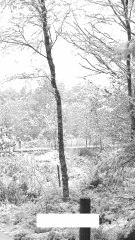 don't worry about the future