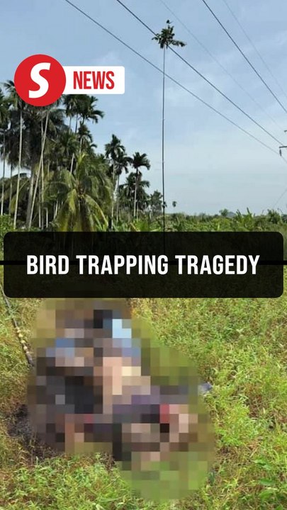 Man dies of electrocution while bird trapping