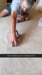 🎵 Baby Skunk doo-doo-doo-dot-doo-do 🎵 (Credit: Leathermoss) #babyskunk #skunkpet #skunkstripe