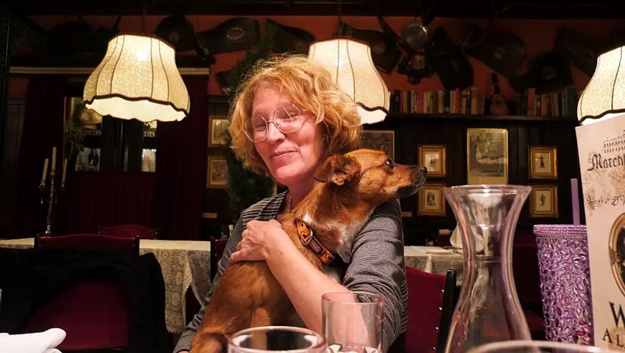 50 Jahre Stimme und  Seele – Alexandra Houdjakova feiert im Marchfelderhof