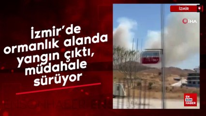 İzmir’de ormanlık alanda yangın çıktı, müdahale sürüyor