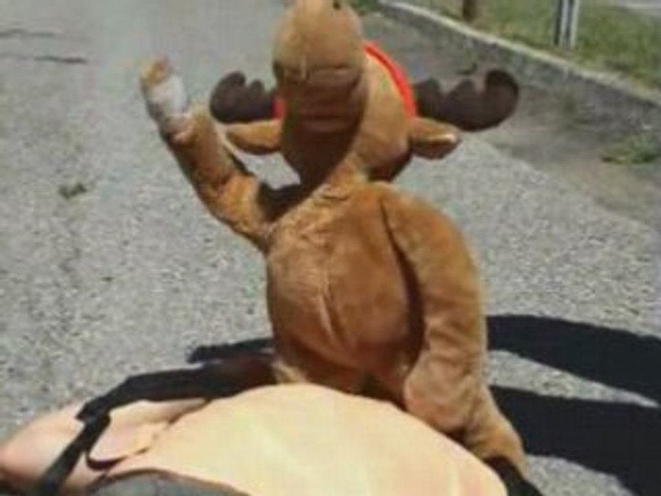 La revanche du Cerf VII