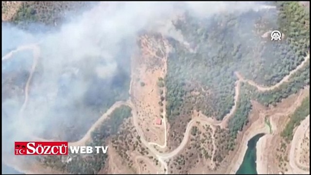 İzmir'in Seferihisar ilçesinde orman yangını çıktı
