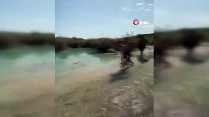 Balıklama atlayış ölümle sonuçlandı!