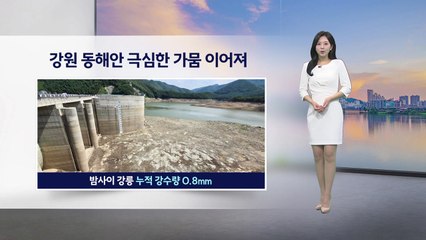 [이슈날씨] 내일 전국 무더위...서울 낮 32도 / YTN