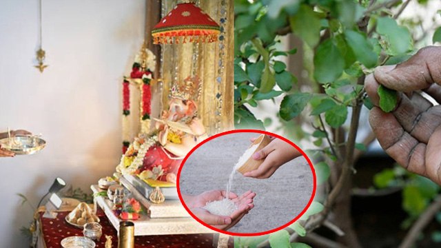 Ganesh Chaturthi 2024: गणेश चतुर्थी के दिन क्या करना चाहिए और क्या नहीं | Boldsky