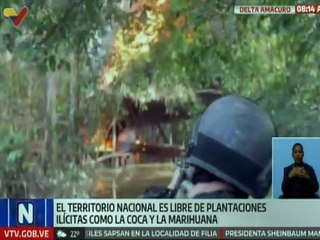Delta Amacuro | Venezuela es territorio libre de plantaciones ilícitas de droga