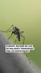 Record de cas de maladies transmises par les moustiques en Europe