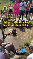 World Bog Snorkelling Championships 2025!