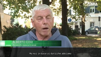 Boom di incidenti in montagna,  Alberto Covi: "Qui non siamo in spiaggia"