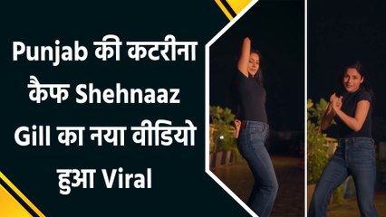 'वैन एंड वेयर' पर थिरकीं शहनाज, 'इक्क कुड़ी' के गाने पर डांस वीडियो किया शेयर