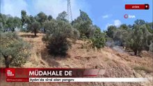 Aydın'da zirai alan yangını