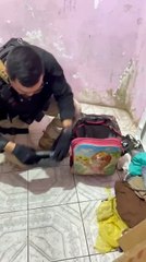 íder de quadrilha responsável por vários assaltos a empresas em trechos da BR-324 e RMS é preso; assista