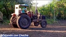INGENIO CUBANO en su máxima expresión: El tractor no arrancó... ¡y lo sacaron con BUEYES! 🐄